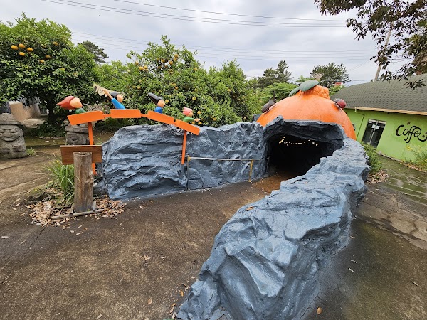 Choenamdan Experience Tangerine Farm 5