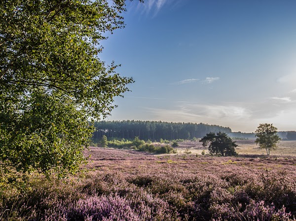 Parking 2 natuurgebied De Teut