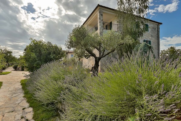 La Casa di Matiki