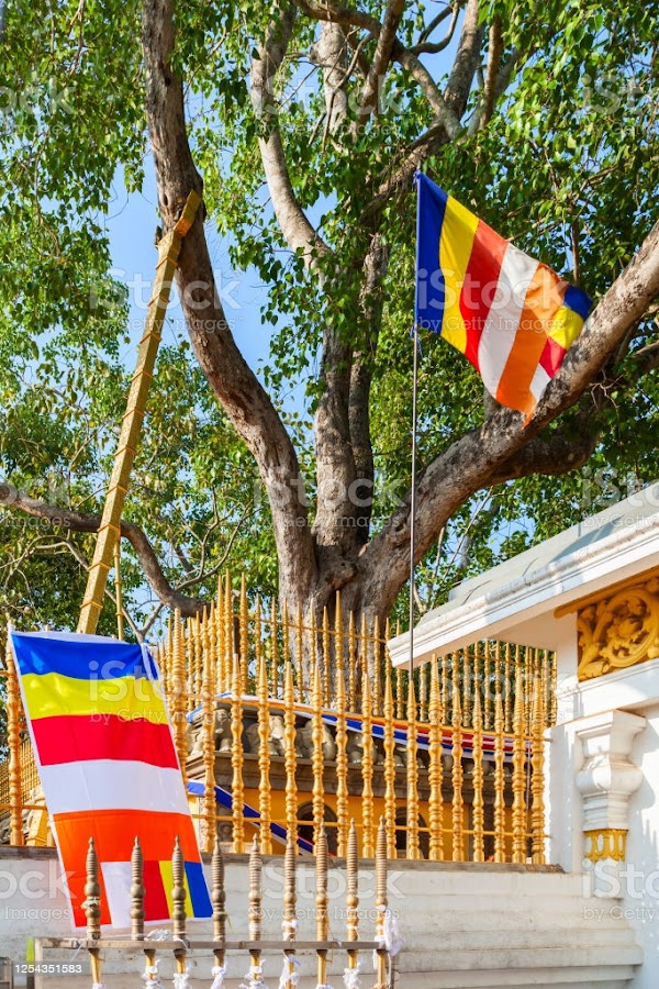 Jaya Sri Maha Bodhi