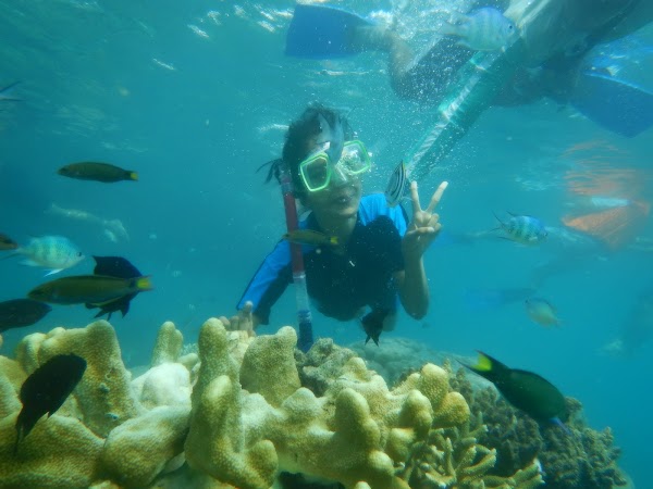 Pulau Cemara Kecil 4