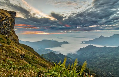 Phu Chi Fa