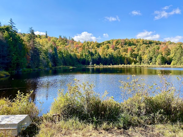 Clements Pond Trailhead
