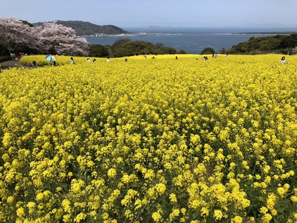 Nokonoshima Island 1