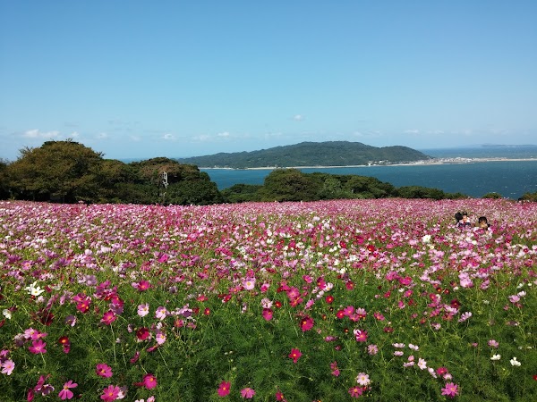 Nokonoshima Island 5