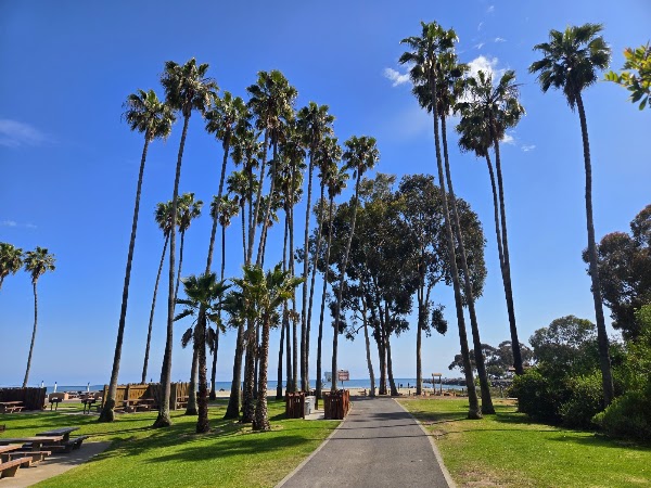 Doheny State Beach 4