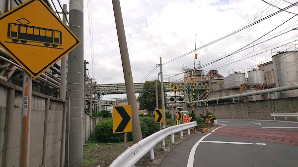 Shikokuchuo
