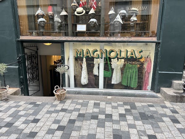 Magnolias 2