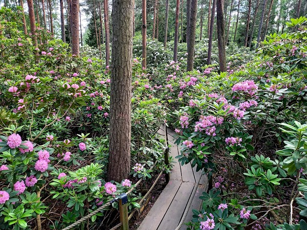 Haaga Rhododendron Park