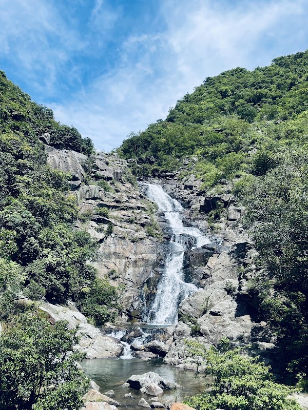 Man Cheung Po's Infinity Pool 2