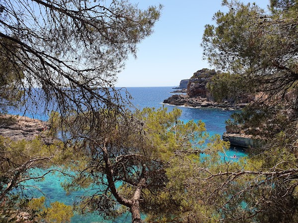 Cala s'Almunia 4