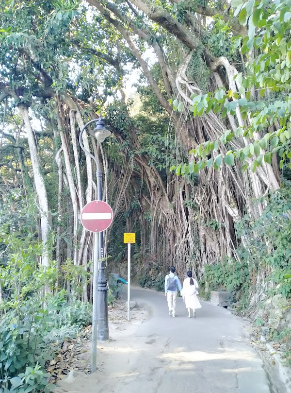 Lugard Road 5