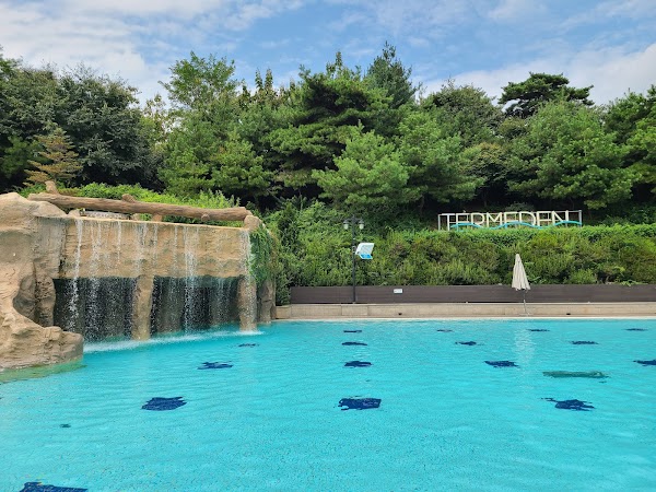 Termeden Spa 5