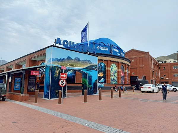 Two Oceans Aquarium 4