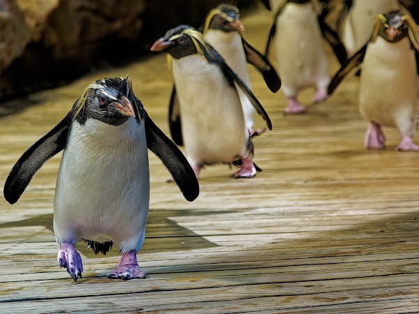 Two Oceans Aquarium 3