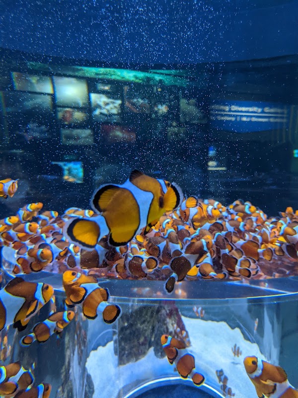 Two Oceans Aquarium 2