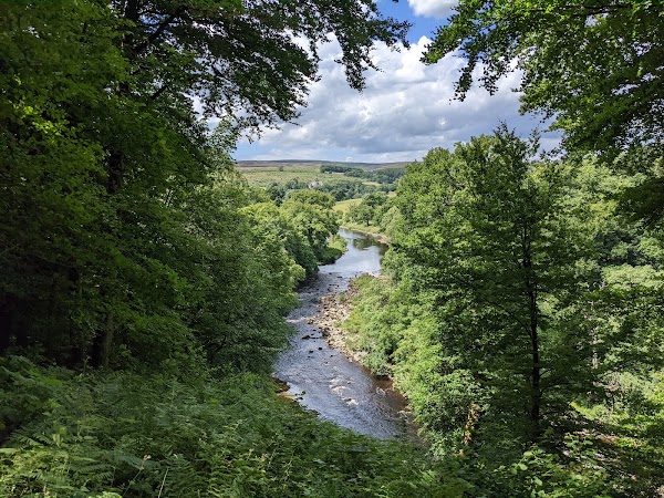 The Strid