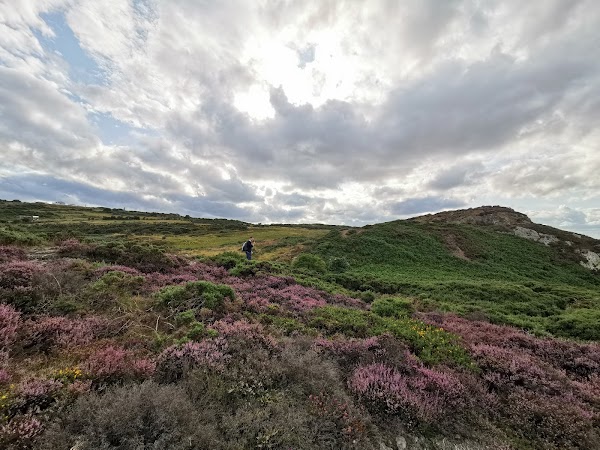 Howth Head Peak 3