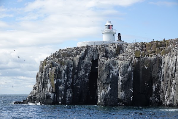 Farne Islands