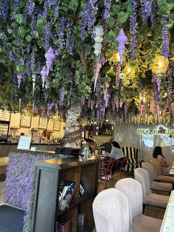 Sugar Tree Cafe Nutley 5