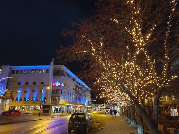 Bodø 5