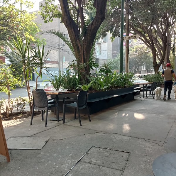Mandrake Café 1