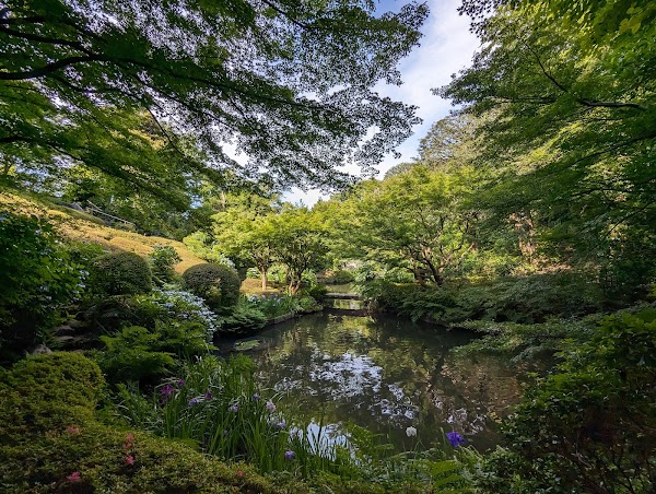 Ikedayama Park 1
