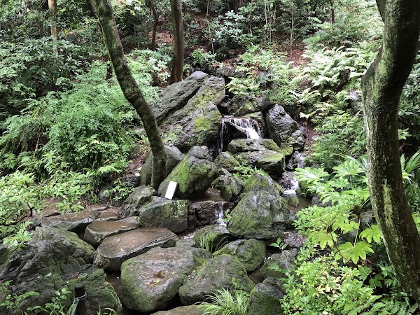 Ikedayama Park 4