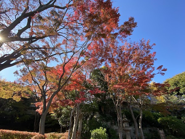 Ikedayama Park 3