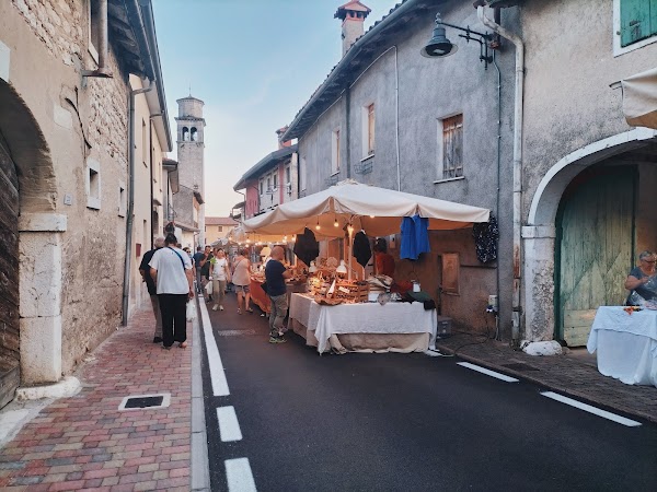 Festa dei Funghi e dell'Ambiente