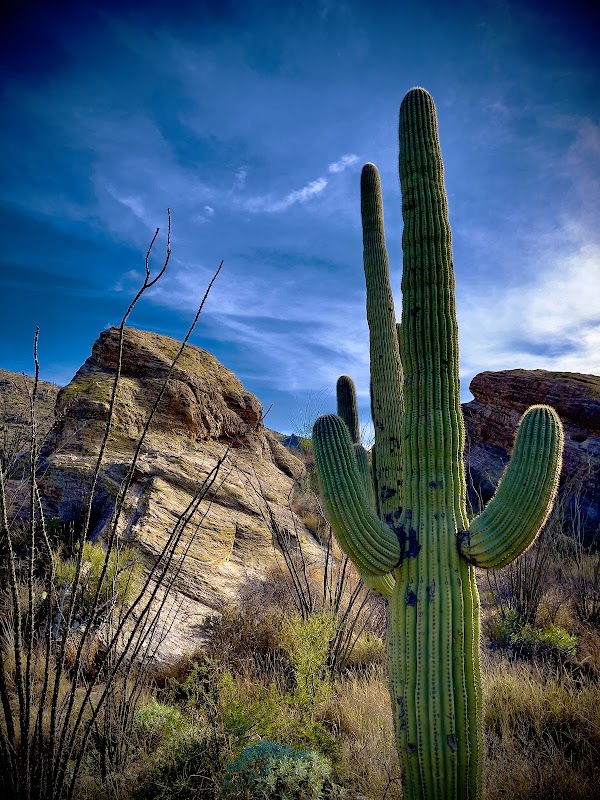 Javelina Rocks