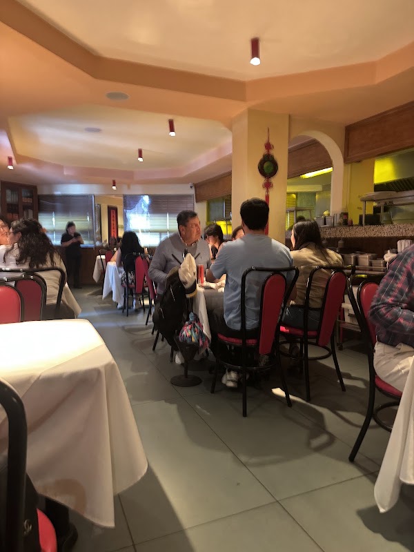 Canton Mexicali Condesa 2