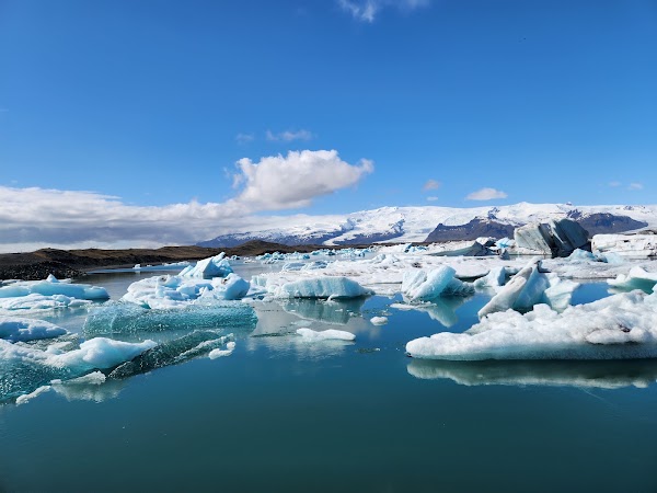 Jökulsárlón Glacier Lagoon Boat Tours and Cafe 5
