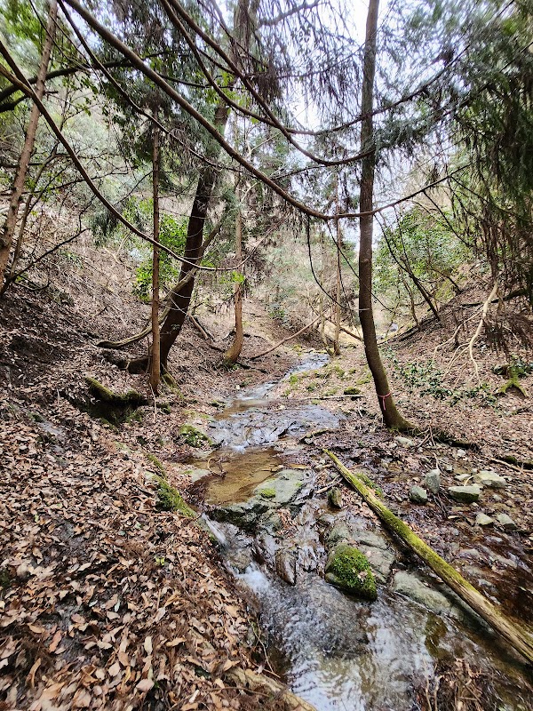 Otonashi waterfall 3