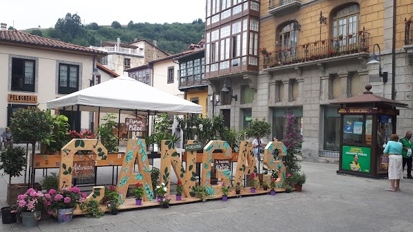 Cangas del Narcea 1