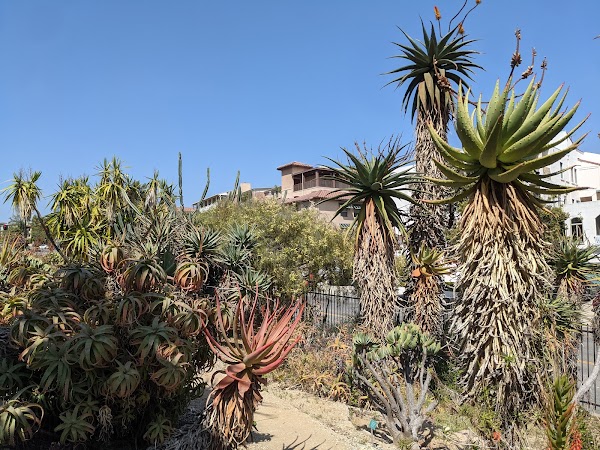 Mathias Botanical Garden