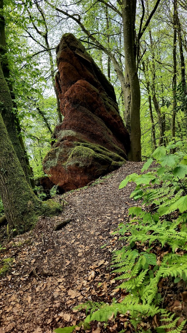 Traumschleife Kasteler Felsenpfad (Start), Kastel-Staadt