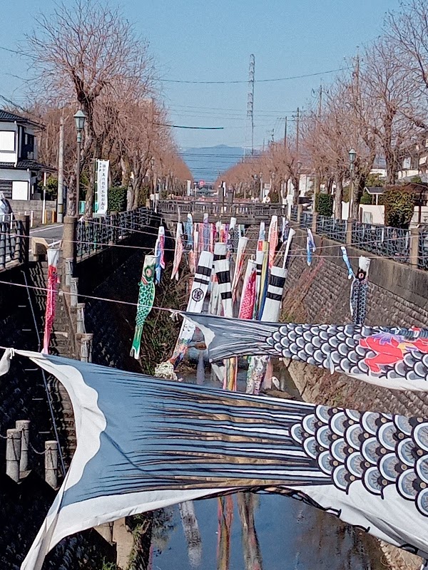 Gifu 1