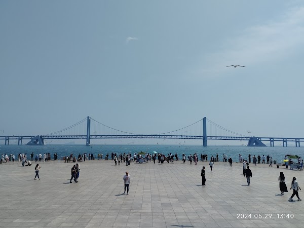 大连星海广场 4