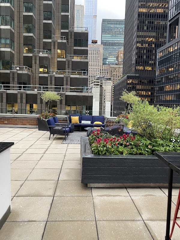 msocial Rooftop 2