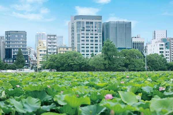 &Here TOKYO UENO
