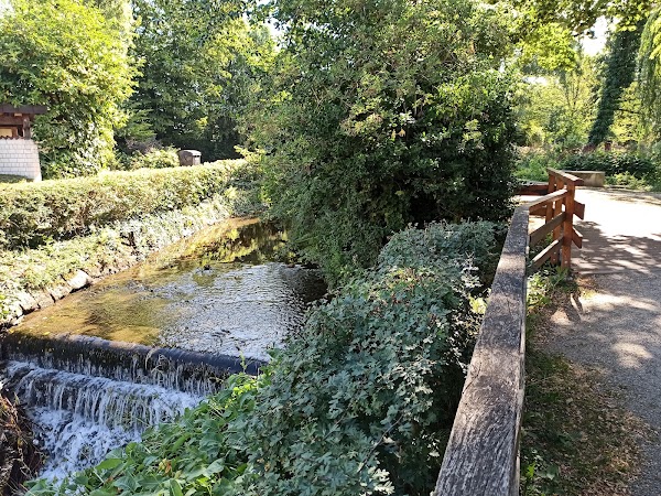Stadtgarten