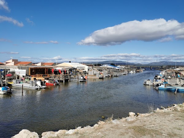 Leucate