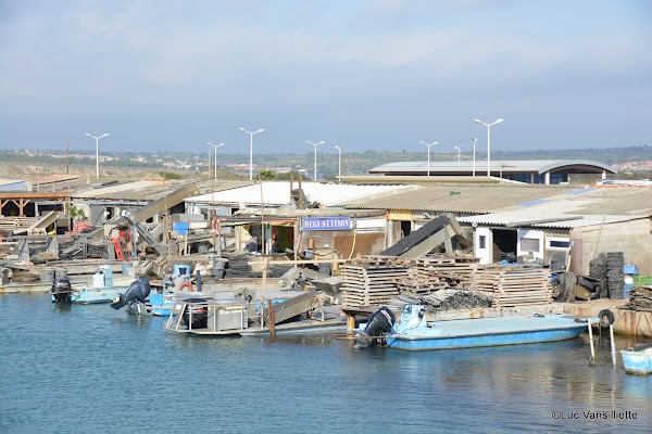 Leucate 5