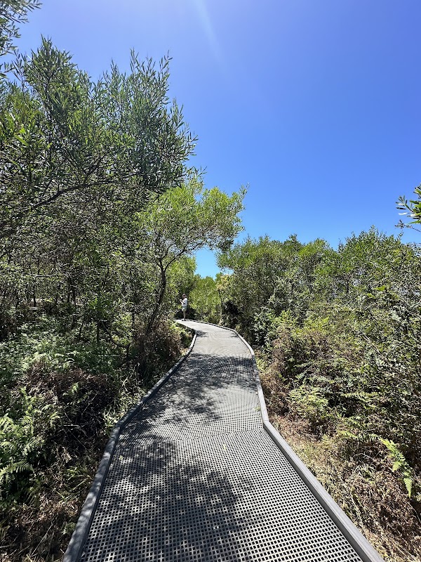 Spit to Manly Walk 4