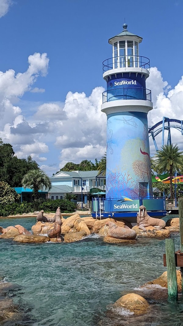 Florida 53