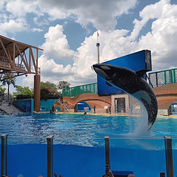SeaWorld Orlando 5