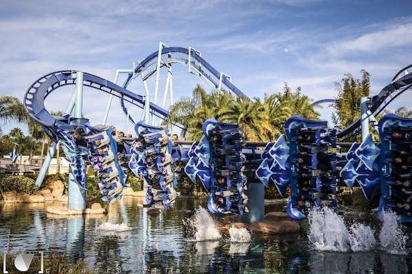 SeaWorld Orlando 4