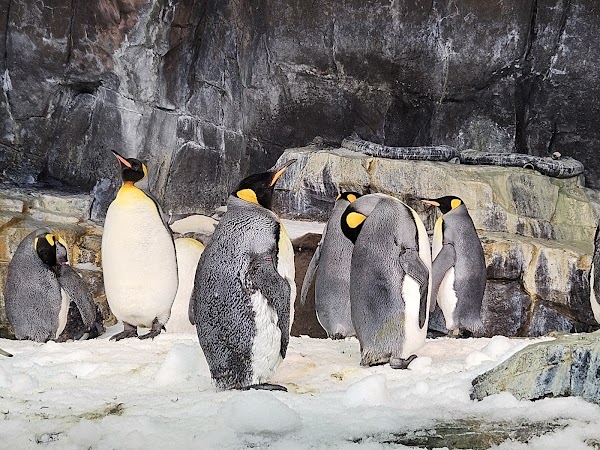 SeaWorld Orlando 3