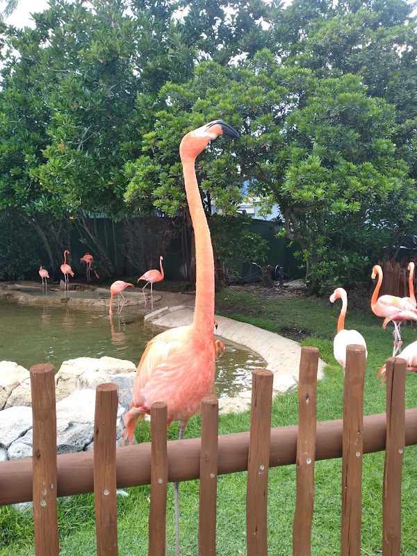 SeaWorld Orlando 2
